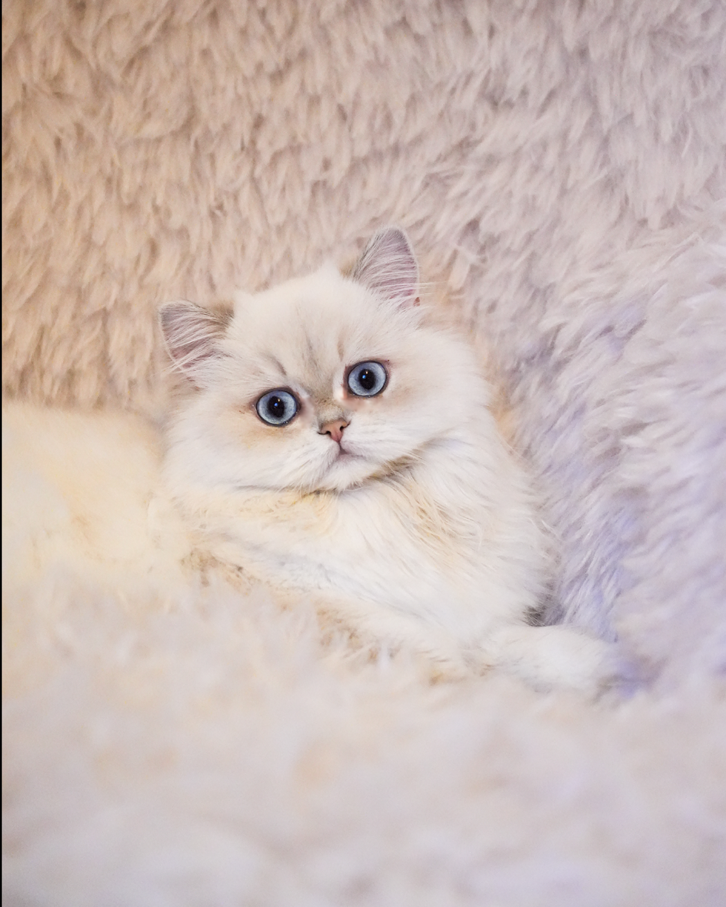 2025-10-05-804-Modifier