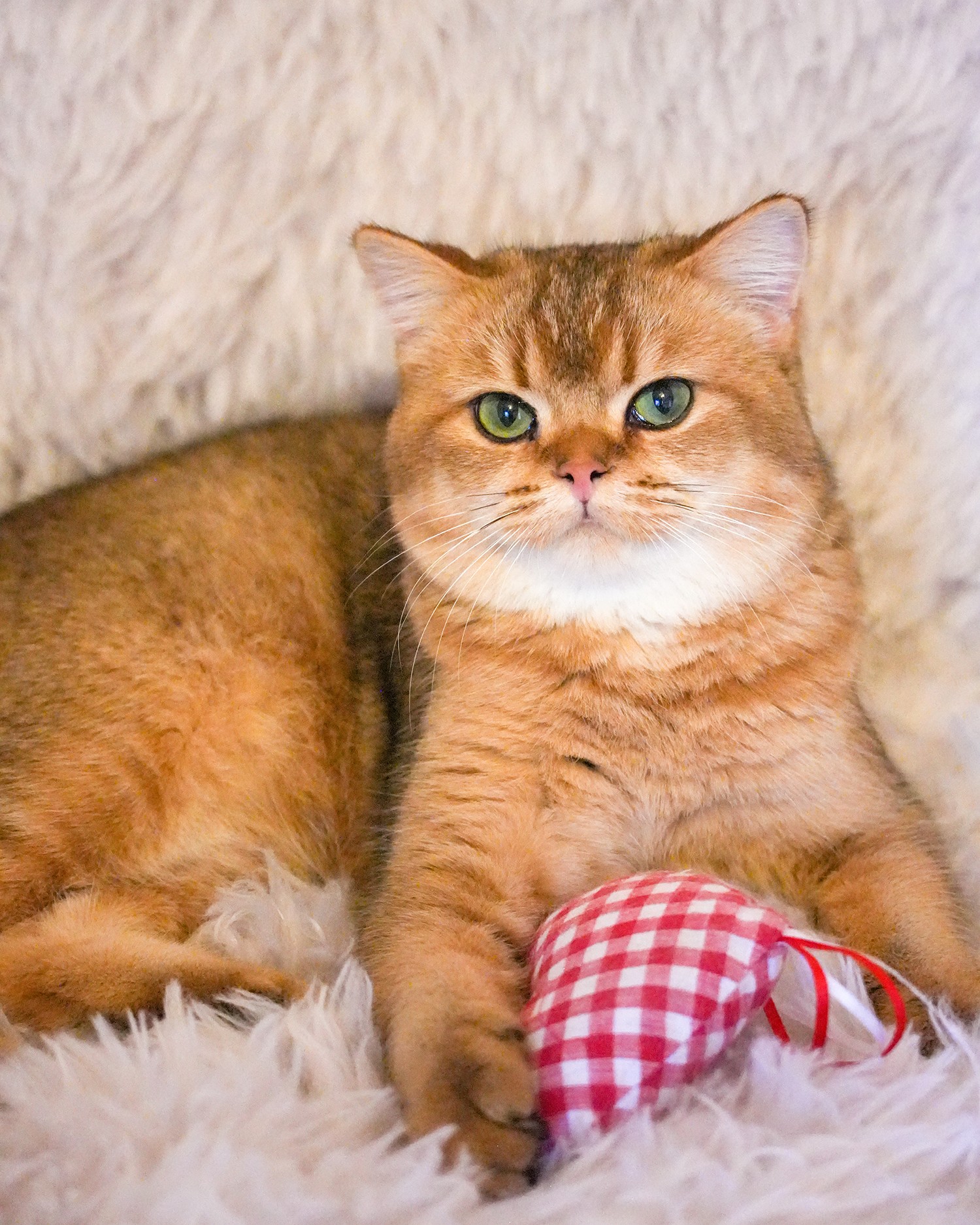 2025-10-05-805-Modifier